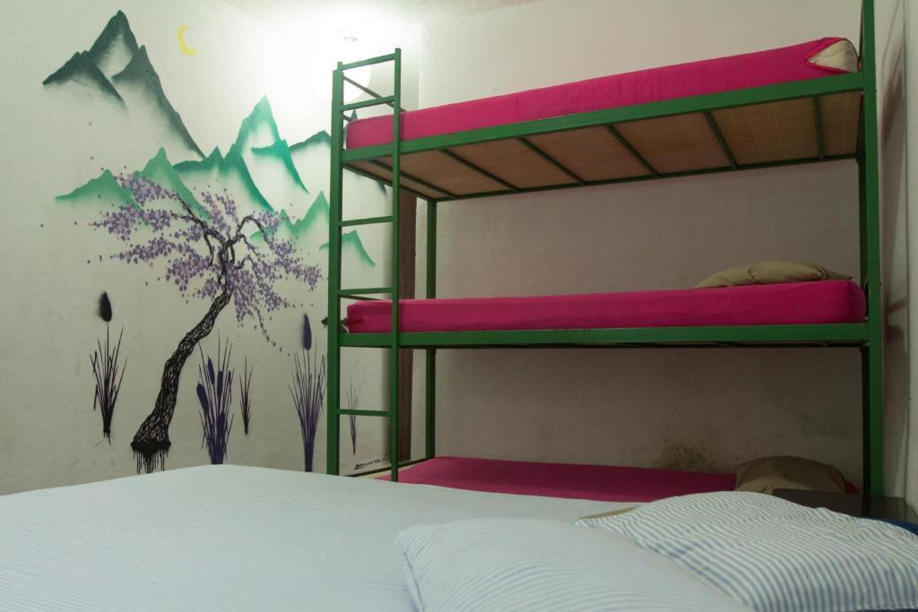 El Misti Hostel Ilha Grande Ilha Grande  外观 照片